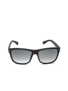 Unisex Wayfarer Sunglasses PJ7308 C4
